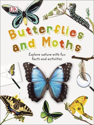 cover image of Butterflies and Moths
